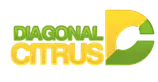 Diagonal Citrus