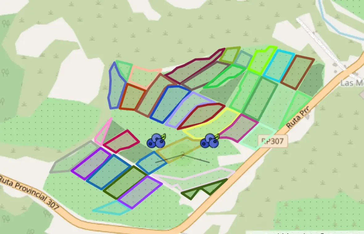 Mapa del portal web con lotes y parcelas delimitadas por colores