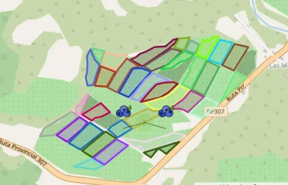 Mapa del portal web con lotes y parcelas delimitadas por colores