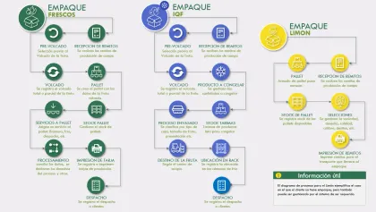 Diagrama de procesos de packing en campo dentro de Agromovil